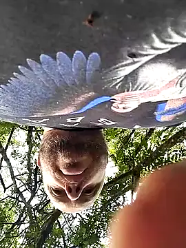 Snapshot of OFICINA_Simas-Turbo chatting on October 2025 12:09:01 PM OFICINA Simas-Turbo online show from October 2025 12:09:01 PM