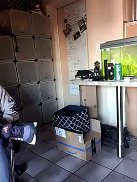 Hippiep online show from March 2025 01:42:02 PM