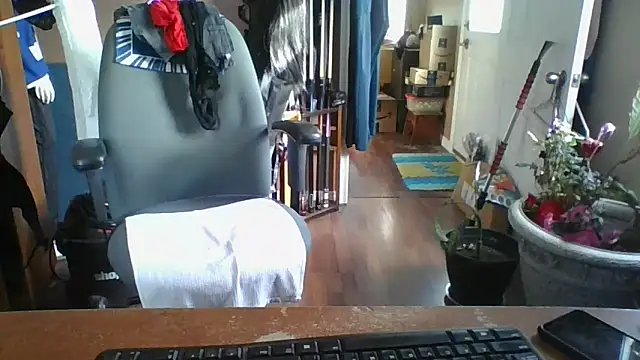 Daremeknot online show from March 2025 02:13:02 PM
