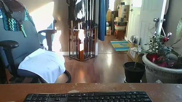 Daremeknot online show from March 2025 01:54:01 PM