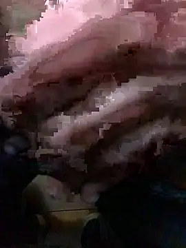 Dut421xh online show from November 2025 11:36:02 AM