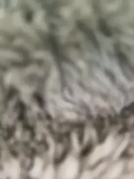 Hannagarces online show from February 2026 11:21:02 AM