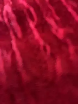 LikaCat online show from March 2026 02:10:02 AM