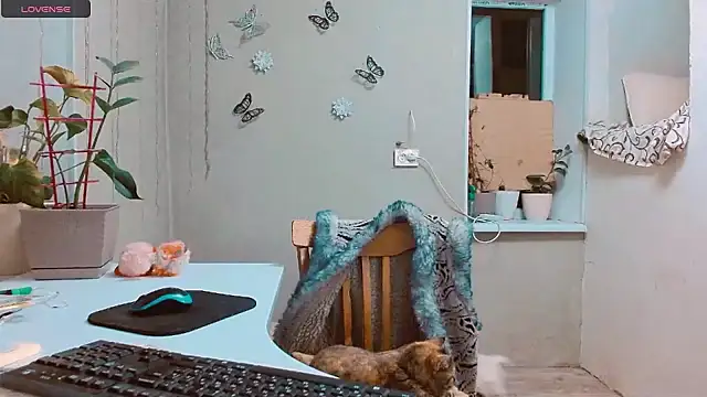 Snapshot of RosaJil chatting on January 2025 07:44:02 PM RosaJil online show from January 2025 07:44:02 PM