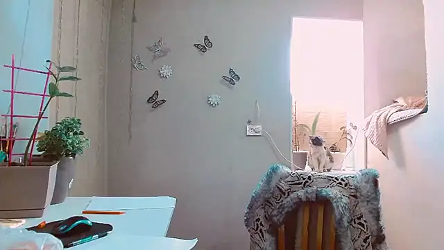 Snapshot of RosaJil chatting on February 2025 01:48:01 PM RosaJil online show from February 2025 01:48:01 PM