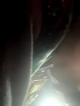 Followthepiper online show from November 2025 09:25:01 AM