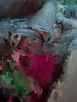 Followthepiper online show from February 2026 12:11:01 AM