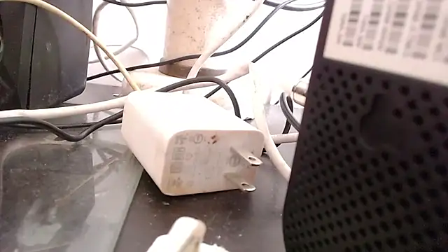 bardotbigcockts online show from September 2025 08:04:02 PM