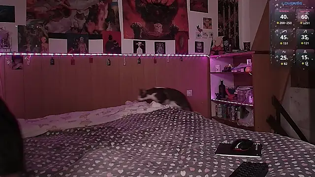 Hanako Jentoru online show from February 2026 02:47:02 PM