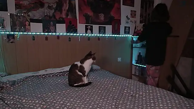 Hanako Jentoru online show from February 2026 06:17:02 PM