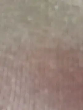 seherlatin online show from February 2026 02:47:02 PM