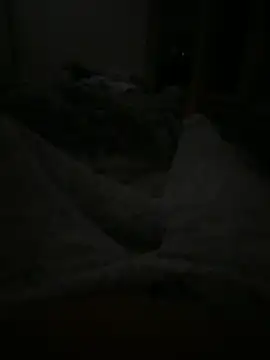 EleonoraMora86 online show from April 2026 03:02:02 AM