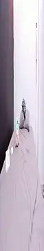 AdammClark1 online show from May 2026 07:20:02 PM