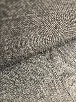 Snapshot of Miko075 chatting on November 2025 10:43:02 PM Miko075 online show from November 2025 10:43:02 PM