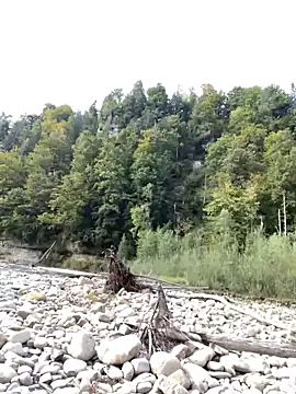 artXhibitor online show from October 2025 01:45:02 PM