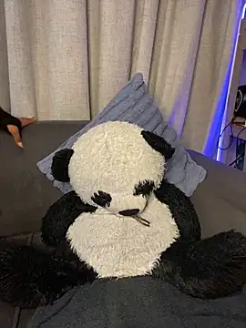 YellowHoneyDip online show from February 2026 05:26:01 AM