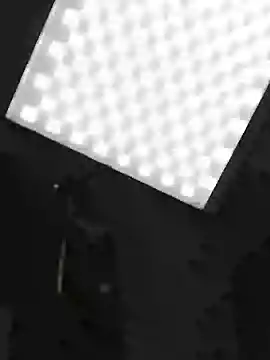 DenisHailey online show from April 2026 07:42:01 PM