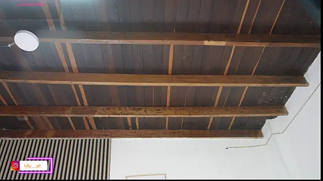 LillyDolls23 online show from February 2026 01:02:01 PM