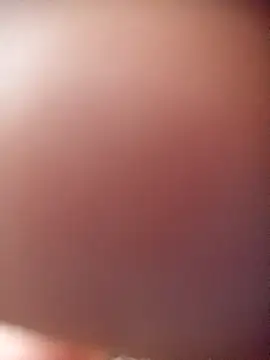 poloplayer123 online show from February 2026 01:44:02 PM