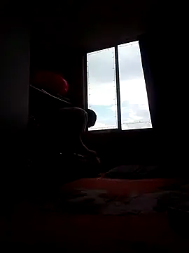 Cameron puppy online show from November 2025 08:35:01 PM