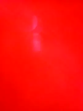 Cameron puppy online show from December 2025 07:26:02 PM