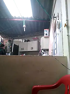 Cameron puppy online show from March 2026 06:10:01 PM