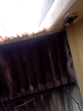 dantero online show from February 2025 03:48:02 PM