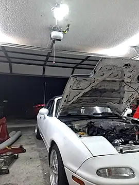 John19893 online show from February 2025 01:13:01 AM