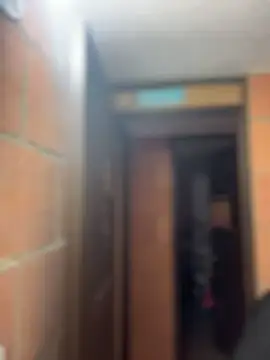 Sachi Meow online show from February 2026 11:54:01 AM