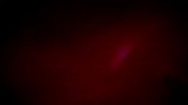 scarlet-kennedy98 online show from January 2026 01:55:02 AM