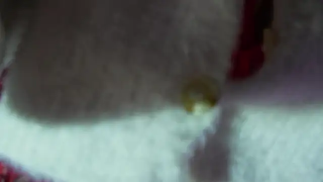 BOOLOCHKAA online show from December 2024 02:51:01 PM