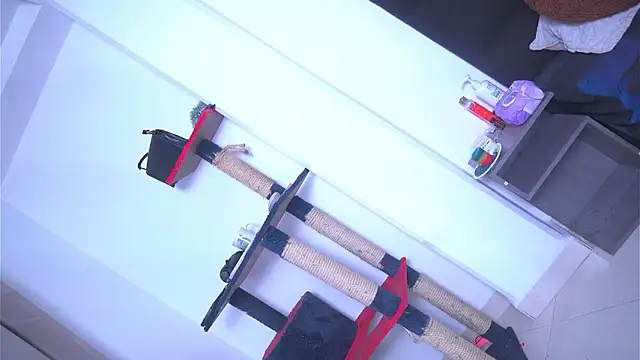 argiee taylorxs2 online show from March 2026 11:34:02 PM