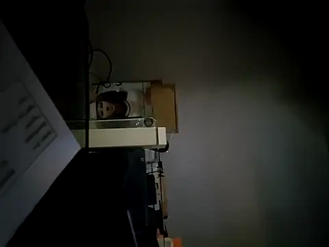 StiveMartin online show from November 2025 02:26:02 AM