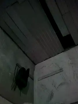 stargagh12 online show from March 2026 01:20:02 AM