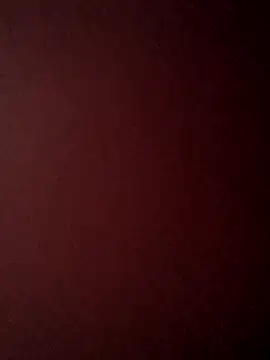 Treemandude online show from October 2025 06:34:02 AM