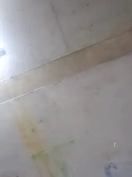 Manolete007x online show from February 2026 11:26:02 PM