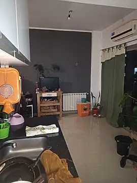 stupid babybird online show from May 2026 11:36:02 PM