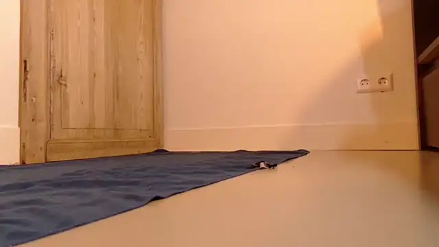 Snapshot of sorairosky chatting on May 2026 05:48:01 AM sorairosky online show from May 2026 05:48:01 AM