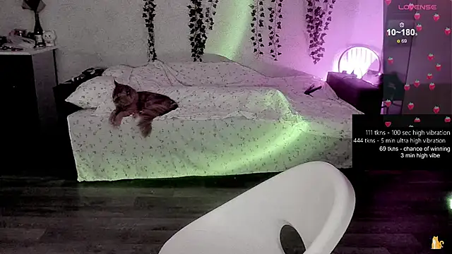 strawberry elfcat online show from February 2026 01:24:02 AM