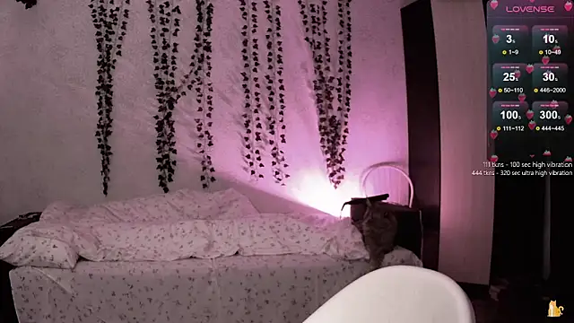 strawberry elfcat online show from December 2025 05:35:01 AM