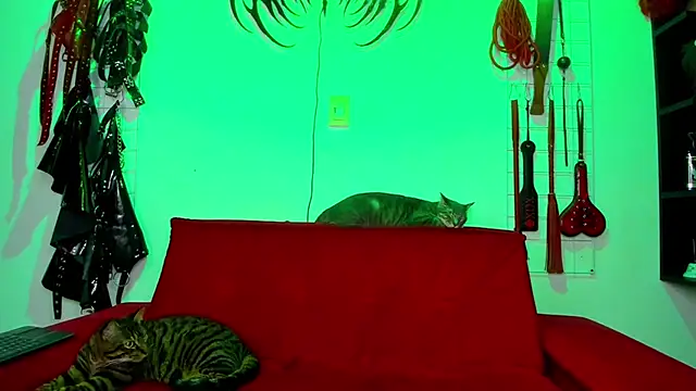 Snapshot of irregular_fetish_ chatting on February 2026 07:47:01 PM irregular fetish online show from February 2026 07:47:01 PM