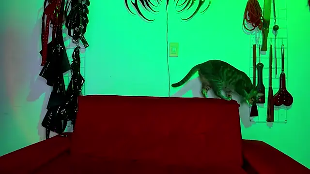 Snapshot of irregular_fetish_ chatting on February 2026 07:00:02 PM irregular fetish online show from February 2026 07:00:02 PM