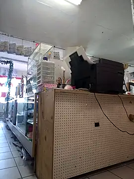 Mia Novikov online show from February 2026 10:21:01 PM