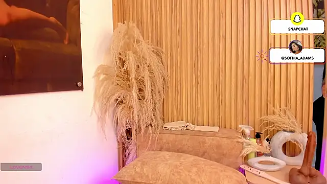 sofhiaa adaams online show from February 2026 10:31:02 PM