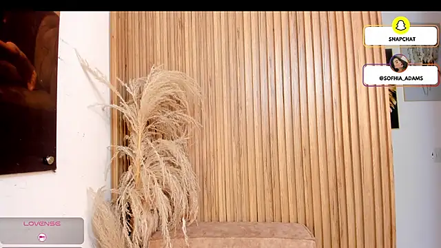 sofhiaa adaams online show from February 2026 05:14:02 PM