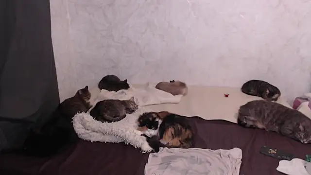 Olivia Winston online show from January 2026 04:22:02 PM