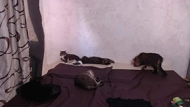 Olivia Winston online show from March 2026 01:45:02 PM