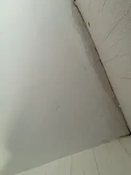 elninoblacko online show from February 2026 03:10:02 PM