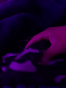 Ghotsniper666 online show from October 2025 06:47:01 AM