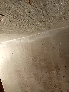 yoryisexi online show from December 2025 01:49:01 PM